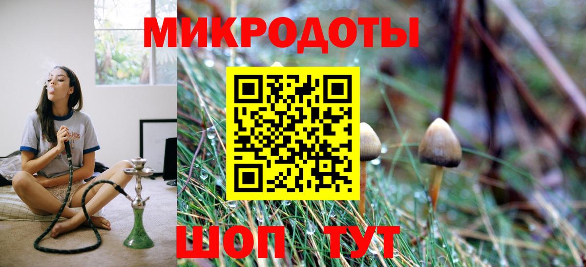 Псилоцибиновые грибы Cubensis Туймазы
