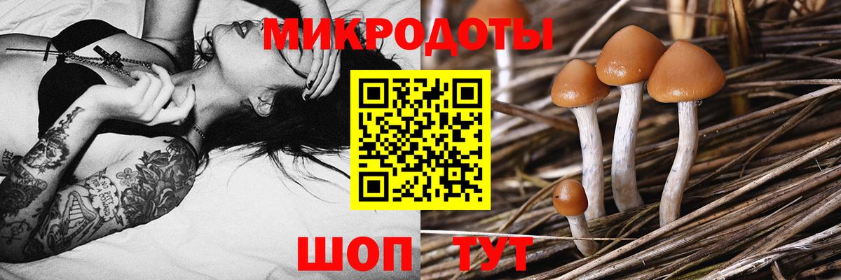 Галлюциногенные грибы Magic Shrooms  Вход с VPN  Псилоцибиновые грибы Psilocybine cubensis  Туймазы 